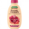 Garnier Шампунь  Botanic Therapy Касторовое масло и Миндаль 250 мл (3600541989412) - зображення 1