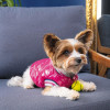 Pet Fashion Бомбер для собак  «Grace» XS (PR243014) - зображення 2