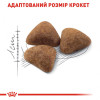 Royal Canin Indoor 27 0,4 кг (2529004) - зображення 4