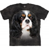 The Mountain Футболка бавовняна чорна з принтом Cute Cavalier Spaniel  10C219930699 XL чорний - зображення 1