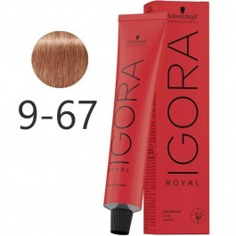   Schwarzkopf Краска Для Волос  IGORA Royal Dusted Rouge 9-674 60 мл