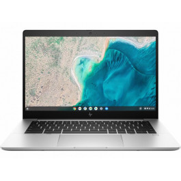   HP Elite c640 G3 Chromebook (6P207UT)