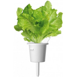 Click&Grow Сменный картридж  Зеленый салат (7731)