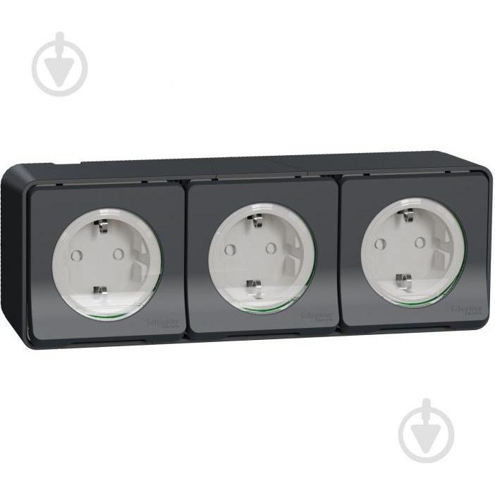 Schneider Electric Mureva Styl с заземлением и шторками IP55 черный (MUR36038) - зображення 1