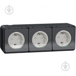   Schneider Electric Mureva Styl с заземлением и шторками IP55 черный (MUR36038)