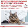 Royal Canin Urinary S/O Feline 3,5 кг (3901035) - зображення 8