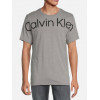 Calvin Klein Футболка чоловіча  709522449 L Сіра (1159792941) - зображення 1