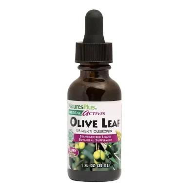 Nature's Plus Листя оливи, екстракт у краплях без спирту, Olive Leaf, 30 мл (NAP-07849) - зображення 1