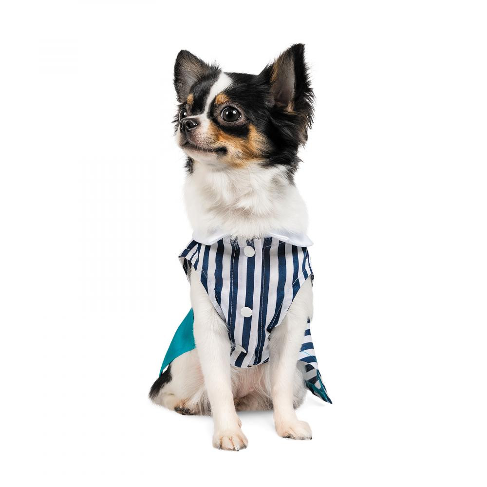 Pet Fashion Сукня для собак  «Band» XS-2 (багатокольорова) (PR242501) - зображення 1