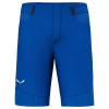 Salewa Шорти  Agner Dst M Shorts M Синій (1054-013.012.0403) - зображення 1