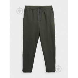   4F Спортивні штани чоловічі  Trousers Cas M517 4FAW23TTROM517-43S S Зелені (5904698492626)