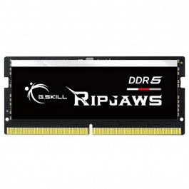 G.Skill 32 GB SO-DIMM DDR5 4800 MHz Ripjaws (F5-4800S4039A32GX1-RS)