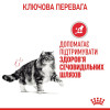 Royal Canin Urinary Care 0,4 кг - зображення 7