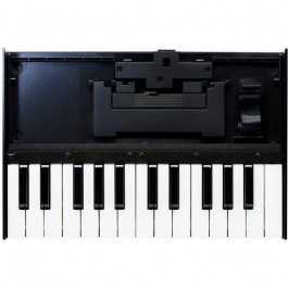   Roland K25m