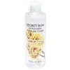 Secret Skin Тонизирующий тонер для лица с экстрактом гамамелиса  Witchhazel Poreless Toner 250 мл (8809540516680 - зображення 1