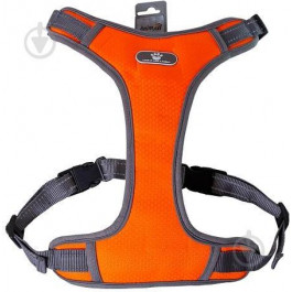   AnimAll Шлея  HL-8005-1 orange S (167224)