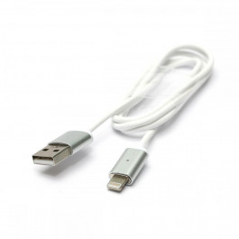   PowerPlant Magnetic USB 2.0 AM - Lightning (iPhone 5, 5S, 6),1.м (DV00DV4059)