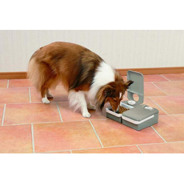   PetSafe Eatwell 2 Meal Pet Feeder (PF2_19)