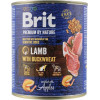 Brit Premium Lamb with Buckwheat 800 г (100416/8638) - зображення 1