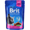 вологий корм Brit Premium Cat Chicken & Turkey 100 г (8595602506019)