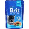 Brit Premium Cat Chicken Chunks for Kitten 100 г (8595602506026) (100274 /506026) - зображення 1