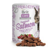 Brit Care Snack Superfruits Salmon 100 г (111270) - зображення 3