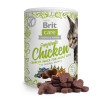 Brit Care Snack Superfruits Chicken 100 г (111269) - зображення 3