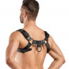  Портупея Bedroom Fantasies Bruno Chest Bulldog Harness - Black (SO8828) - зображення 3