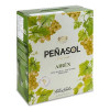 Penasol Вино  Verdejo BiB, 3 л (8410702025034) - зображення 1