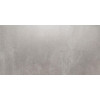 CERRAD GRES Tassero GRIS LAPPATO 25203 30x60 - зображення 1