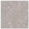 Allore Group Terra Beige F PC R Sugar 60x60 - зображення 1