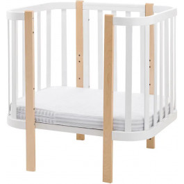   Babyroom Oval-80 OK-5 80х60