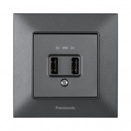   Panasonic Arkedia Slim 2-Ports Dark Gray (WNTC02312DG-UA)