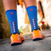 Compressport Pro Racing Socks V4.0 Run High Pacific Blu/Deco Rose - зображення 2