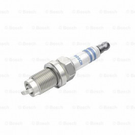   Bosch 242240675