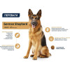 Advance Adult Maxi German Shepherd 12 кг (923671) - зображення 5