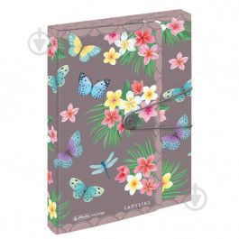   Herlitz Папка-бокс на гумці  Ladylike А4 4 см Butterfly (50044092)