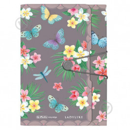   Herlitz Папка на гумці  Ladylike А4 12 відділень Butterfly (50044023)