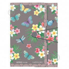   Herlitz Папка на гумці  Ladylike А4 Butterfly (50044009)