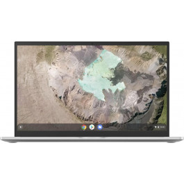   ASUS Chromebook C425TA (C425TA-M364)