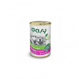   OASY One Animal Protein ADULT Medium/Large з диким кабаном 0,4 кг (8053017346175)