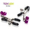 Toy Joy Nipple Teasers, серебряные (8713221461322) - зображення 1