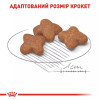 Royal Canin Mini Adult 8+ 0,8 кг (3002008) - зображення 9