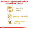 Royal Canin Chihuahua Adult 85 г (2041001) - зображення 10