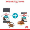 Royal Canin Urinary Care 2 кг (1800020) - зображення 9