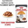 Royal Canin Hair&Skin Care in Gravy 85 г (4071001) - зображення 2