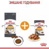 Royal Canin Hair&Skin Care in Gravy 85 г (4071001) - зображення 10