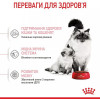 Royal Canin Mother & Babycat 0,4 кг (2544004) - зображення 3