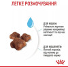 Royal Canin Mother & Babycat 0,4 кг (2544004) - зображення 4