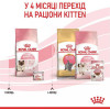 Royal Canin Mother & Babycat 0,4 кг (2544004) - зображення 5